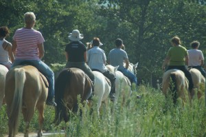 hond mee op vakantie paardrijden