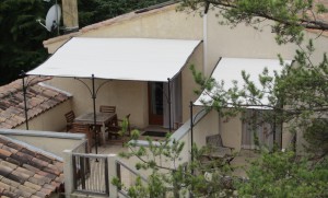 met hond op vakantie