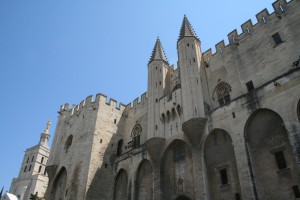 honden frankrijk Avignon