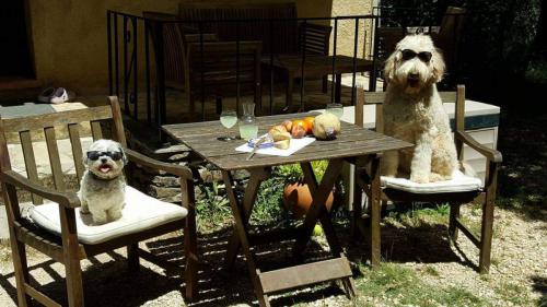 Jessy en Snowy  Winaar